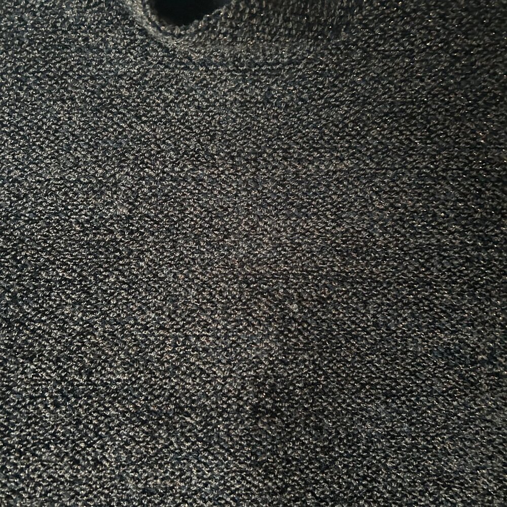 Zara metallic mock turtleneck top